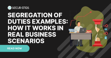 Segregation of Duties Examples
