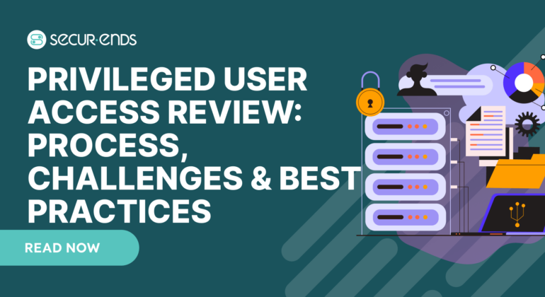 Privileged User Access Review