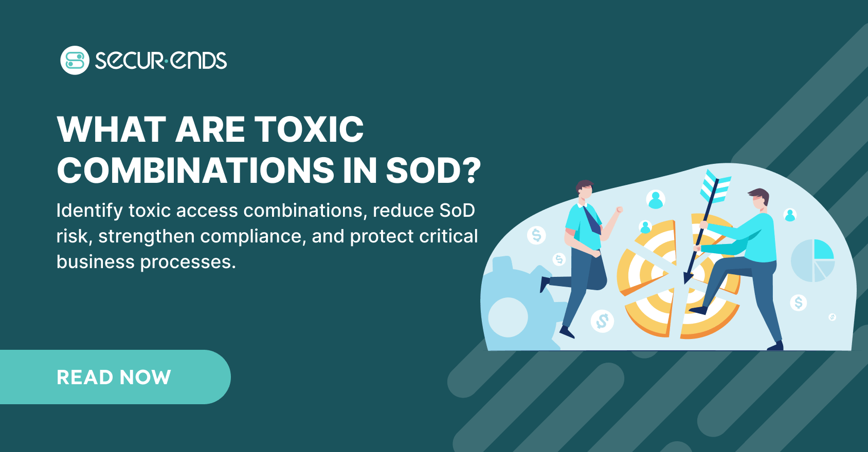 What Are Toxic Combinations in SoD
