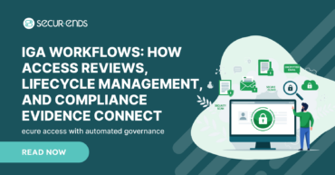 Why Do IGA Workflows Matter_ (1)