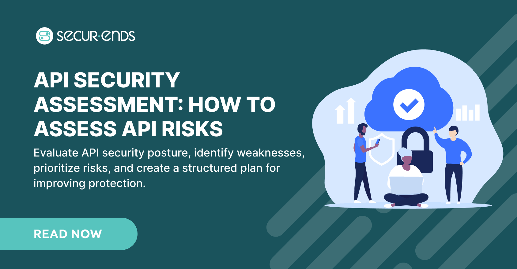 API Security Assessment How to Assess API Risks